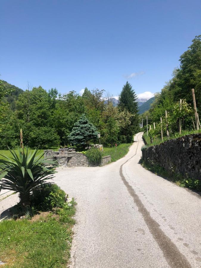 Most na SočiVila Noblesa别墅 外观 照片